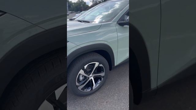 2024 Cacti Green Chevrolet Trax