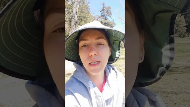 Видео 56. Изменение моего мышления. 3 отчёт 2019 2020 год 14 октября 2020 г. смотреть онлайн