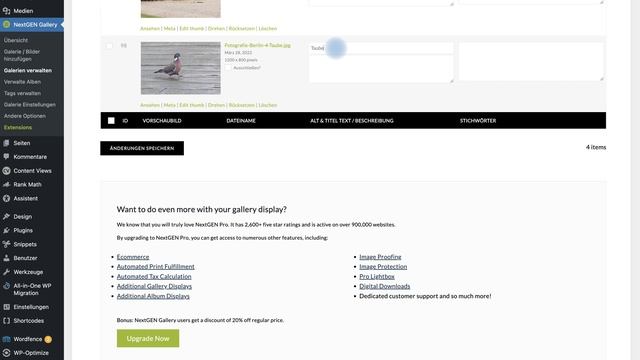 Title Tag NextGen-Gallery-WordPress anpassen смотреть онлайн
