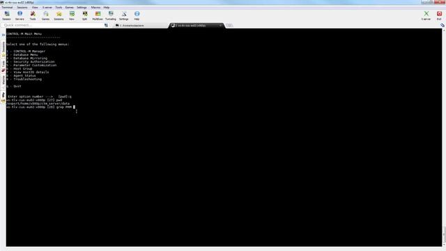Change the hostname Control-M/Server identifies itself with to the Agents смотреть онлайн
