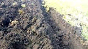 Регулировка плуга ПЛН 1-35. Трактор Т-25.