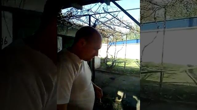ДНР гуляет прикол смотреть онлайн