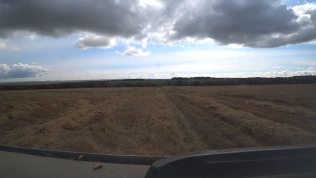 Уборочная .Овес сыпет как из пушки. Не дают мне отдохнуть. смотреть онлайн