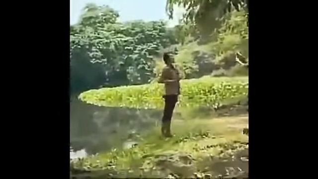 Крокодил проглотил человека.|УЖАС. смотреть онлайн