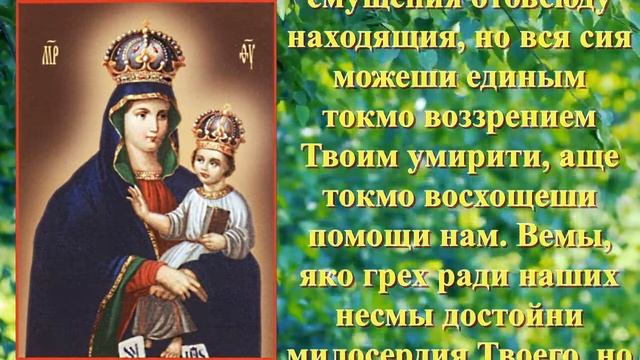 Молитва Барской иконе Пресвятой Богородице смотреть онлайн