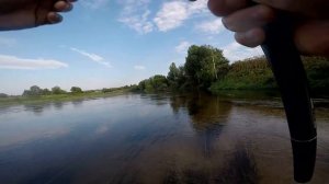 Ловлю голавлей в жару на корочку хлеба