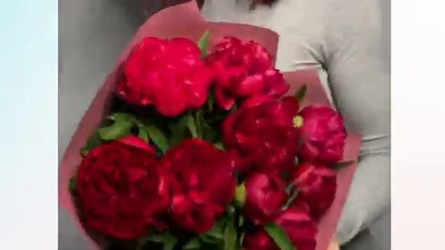 Букет из 11 бордовых пионов Россия смотреть онлайн