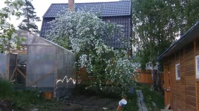 Дача Пугачево смотреть онлайн