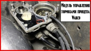 Модуль управления прицепом Wabco