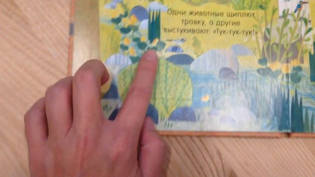 Clever. Книжка с окошками. В лесу смотреть онлайн