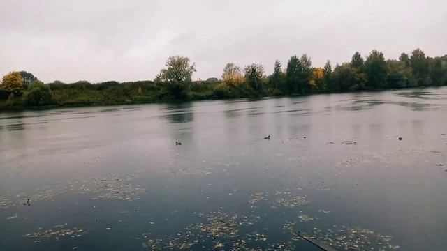 парк Фили смотреть онлайн