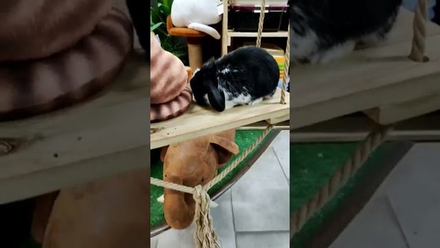 Отвлеклись и улыбнись!