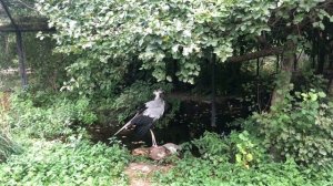 Лера и папа в зоопарке в гостях у животных