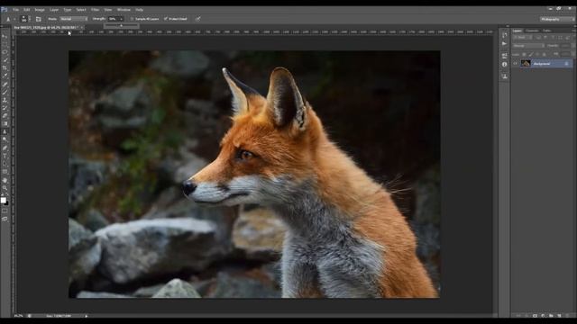How to Use the Blur and Sharpen Tools in Adobe Photoshop смотреть онлайн