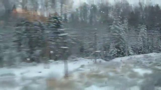 Карелия. Зимний лесной пейзаж из окна поезда