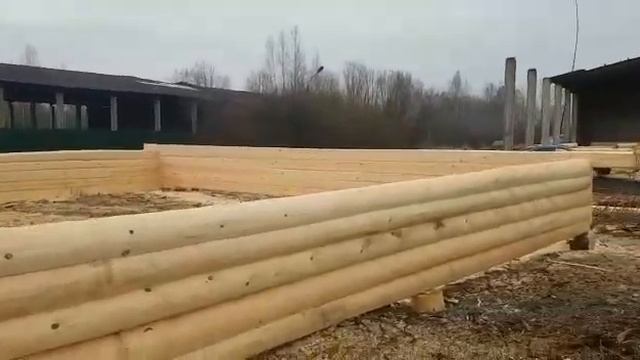 Сруб дома 11 на 12 метров, рубка "в лапу" смотреть онлайн