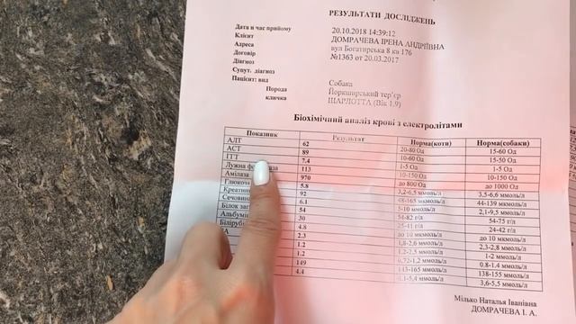 Чипирование и вакцинация йоркширских терьеров? смотреть онлайн