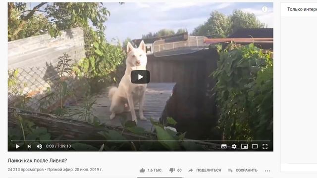 Хрестоматия попрошайничества на ютуб и как ряженый получает с канала Лайки соловьева смотреть онлайн