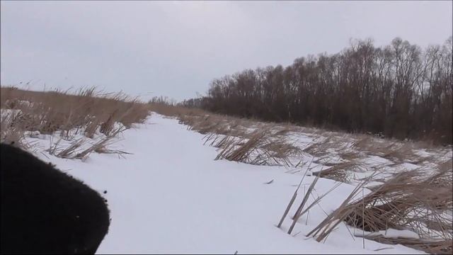 канал Саша Торопов Приехали на остров ! Часть - 2 ( по катушки ) смотреть онлайн