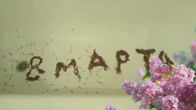 НЕОБЫЧНОЕ ПОЗДРАВЛЕНИЕ С 8 МАРТА (UNUSUAL CONGRATULATIONS FROM MARCH 8) смотреть онлайн
