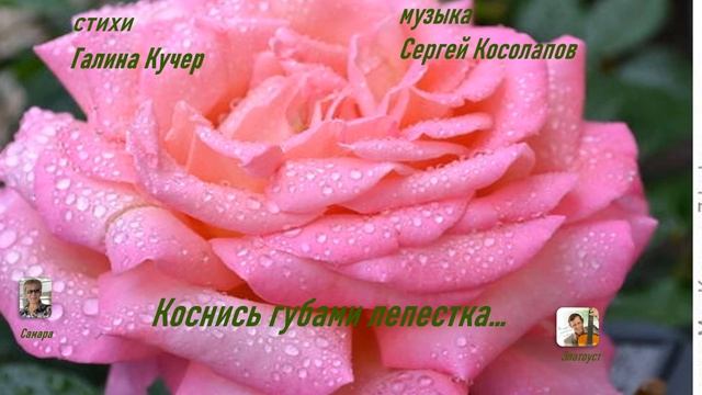 КОСНИСЬ ГУБАМИ ЛЕПЕСТКА. Стихи ГАЛИНА КУЧЕР (Самара), музыка и исполнение СЕРГЕЙ КОСОЛАПОВ Златоуст смотреть онлайн