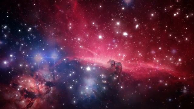 Духовный Путь Новые Записи 2020 г. Часть 14 смотреть онлайн