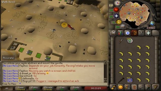 Maniacal Monkey Hunting Guide | AFK Hunter Method | 100K+ Exp/Hr смотреть онлайн