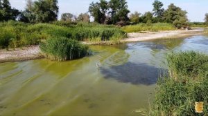 Путешествие в станицу Нижний Чир. Часть 5