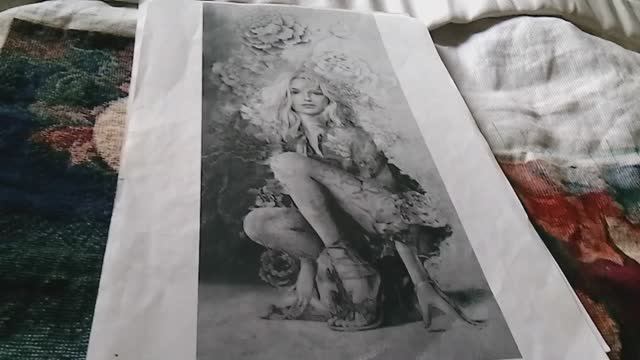 Проект по авторской схеме от Иволги "Виктория" отчет 62 смотреть онлайн