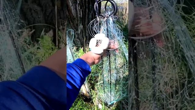 Хапуга купить хапуги отличного качества ловля на хапугу смотреть онлайн