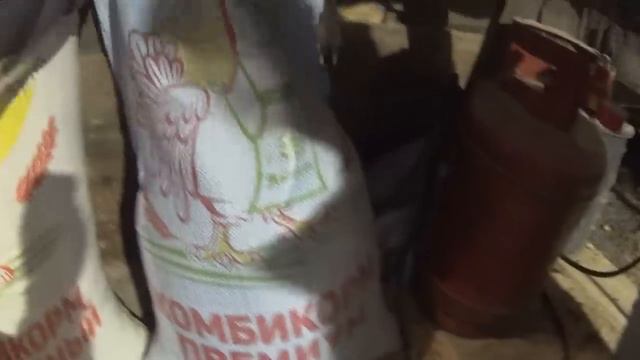 В гостях у начинающего кроликовода смотреть онлайн