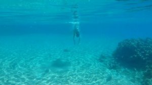 Снорклинг Египет