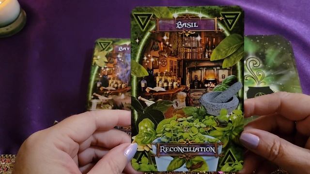 ? WITCHES KITCHEN Oracle ? Deck Unboxing, Walk through & Review #tarot #oracle #unboxing смотреть онлайн
