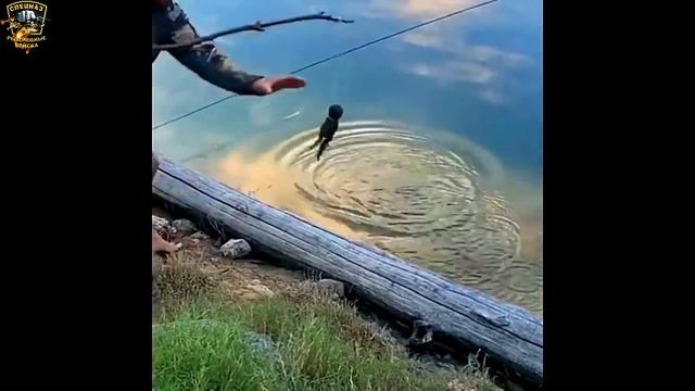 ★Зимняя рыбалка//Смешная рыбалка//Весёлая рыбалка 2020//Рыбалка с юмором//Приколы на рыбалке 2020// смотреть онлайн