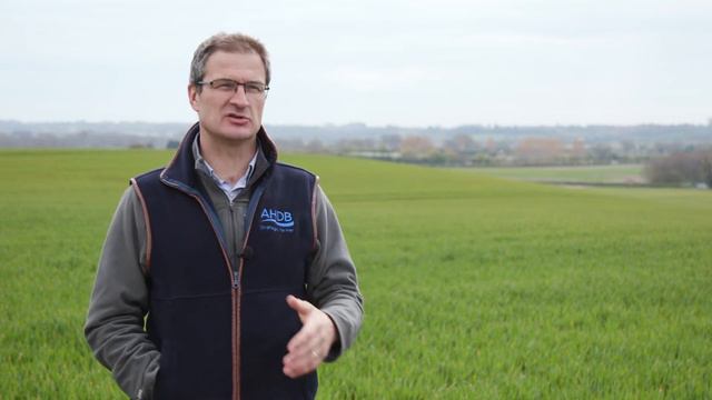 Cultivation systems for soil health and crop rooting смотреть онлайн