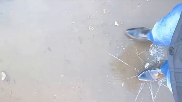 Звук трескающегося льда прекрасен! смотреть онлайн