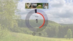 Дыхание Волка - Тренажер дыхания