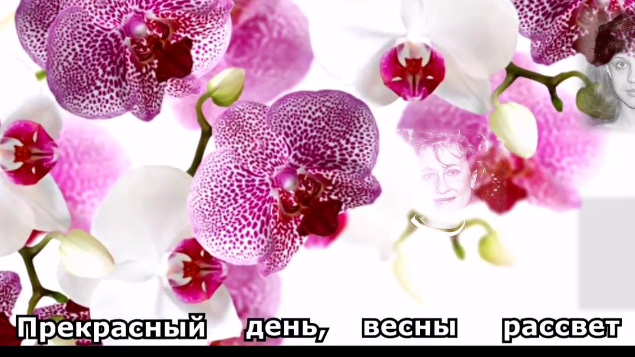 8 марта смотреть онлайн