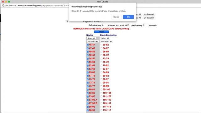 Print Brackets - Individual смотреть онлайн
