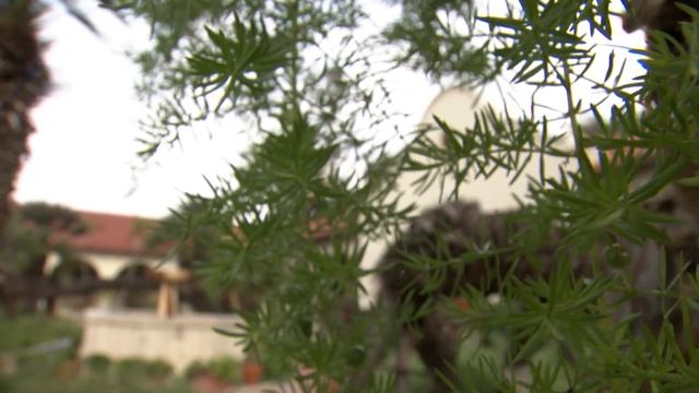 The Battle of Domínguez Rancho смотреть онлайн