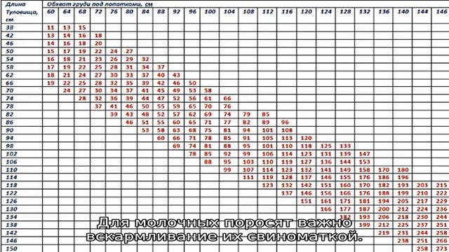 Вес поросят по месяцам — таблица смотреть онлайн