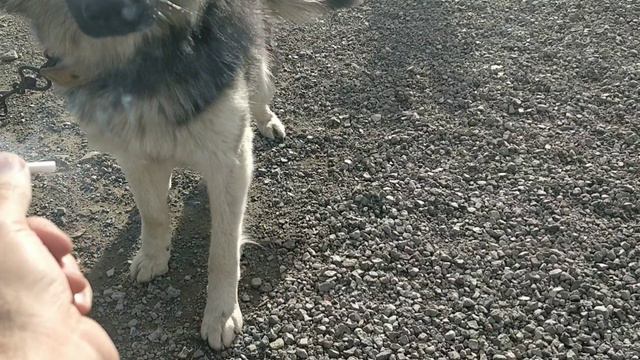 Возьми покури смотреть онлайн