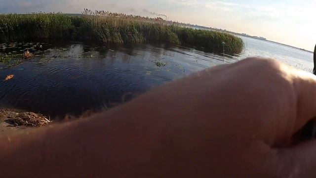 Рыбалка на фидер!!! Рыбалка на карася 🐠😍✌️лето река Днепр июнь 2022 смотреть онлайн