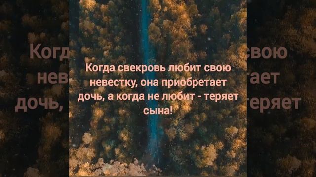 Когда свекровь любит свою невестку, она приобретает дочь, а когда не любит - теряет сына смотреть онлайн