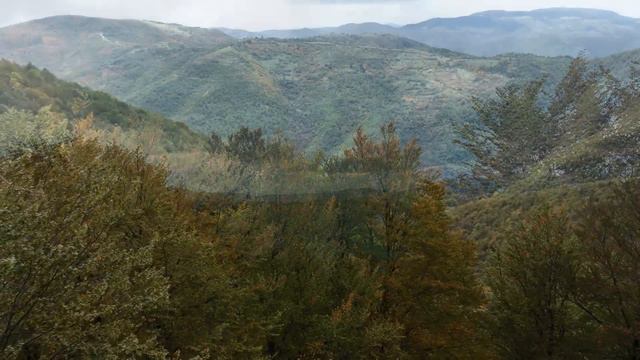 Enchanting Cello Instrumentals 🎶 Soul-Stirring Melodies and Relaxing Music смотреть онлайн