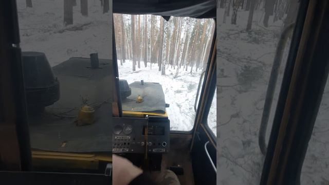 трелевка дт75