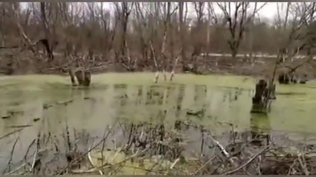 Интересные места Белгорода : топь и меловой карьер смотреть онлайн