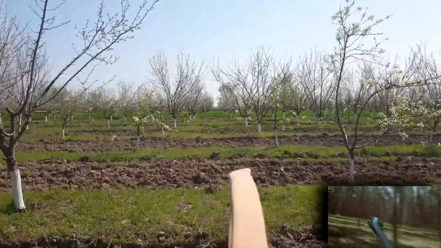 Uzbek Combat - или как мы ездили в Узбекистан смотреть онлайн