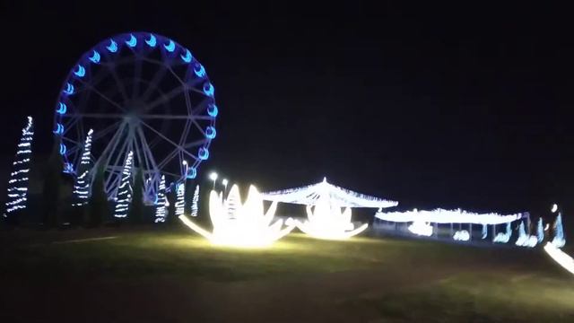 10.01.22 Новогодние лотосы смотреть онлайн